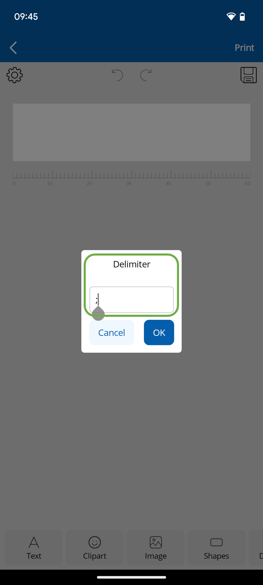 17_How can I do serial printing of CSV files_5.png